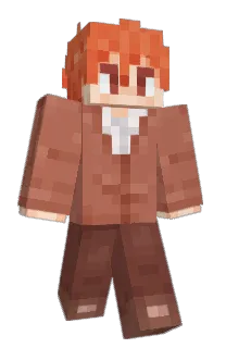 Front of InnSi's skin