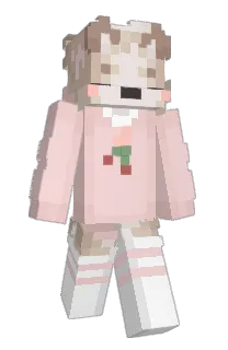Front of narpy's skin