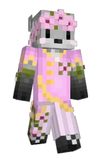 Front of Diligord's skin