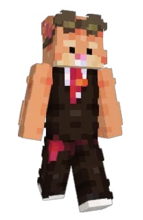 Front of dampr's skin