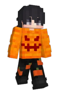 Quaxko's Minecraft skin