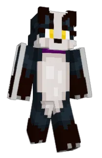 Front of FizzyPop_540's skin