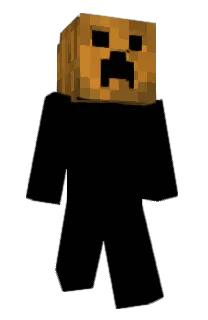 Front of Teycx's skin