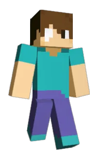 Front of SAIDEN_PLAYER's skin