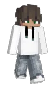 NSGSlikk