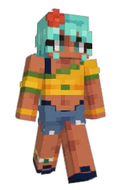 Skin preview