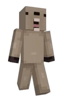 Front of Yankia's skin