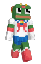 Skin preview