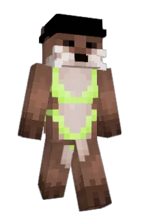 Front of Minecraft skin