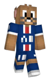 Skin preview