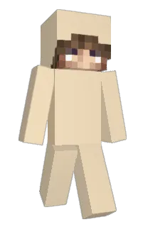 Front of seasic's skin