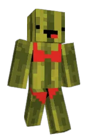 Skin preview