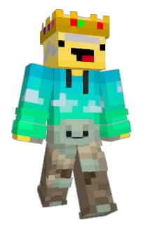 Front of Goolly's skin