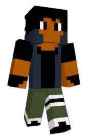 Skin preview