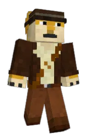 Skin preview