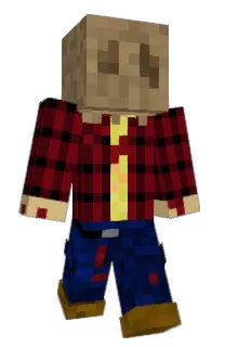 Front of 1Kiwi's skin