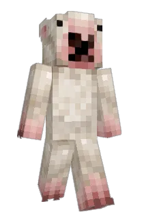 Shutbird's Minecraft skin