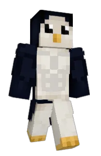 Front of ZolnierzZUkrainy's skin