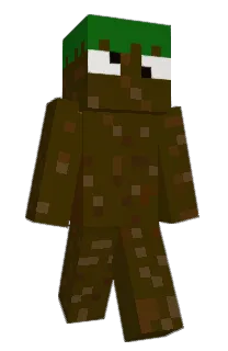 dds467's Minecraft skin