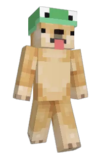 Front of haydentow's skin