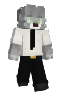 Front of OpelAstraEnjoy3r's skin