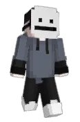 LilBroJerry
