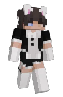 Front of A5h09's skin