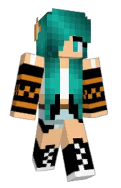 Skin preview