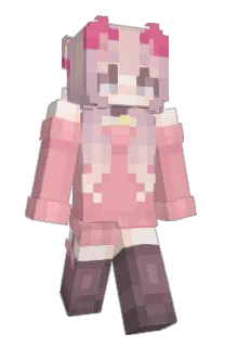 Front of iTMG's skin