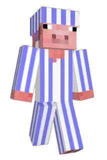 3590892048491 Minecraft avatar full body