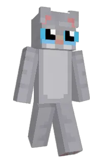 Front of 22millionbadgers's skin