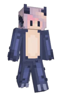 Front of ZminkZmonk's skin