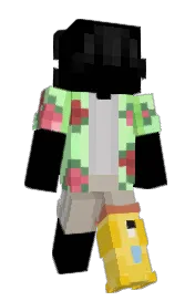 Skin preview