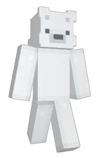 Front of ripplechipple's skin