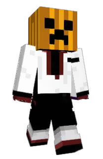 Front of FL1M_Z's skin