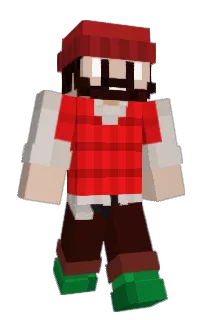 Front of HMANN439's skin