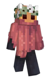 Front of pavkin's skin