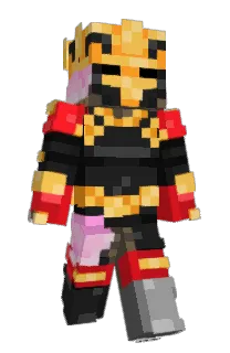Front of donjark's skin