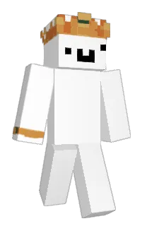 Front of PikaTN's skin