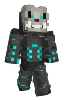 Front of Defuffle's skin