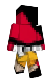 Front of Dumkl's skin