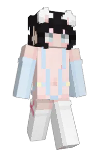 Front of Minecraft skin