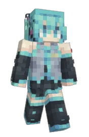 Skin preview