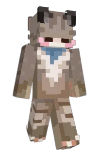 Front of REN1E's skin