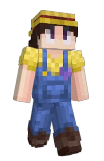 Front of LexR3's skin