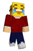LaivaRoope