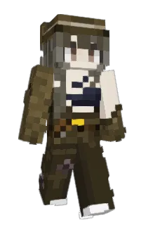 Front of baltxe's skin