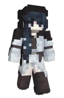 Front of soapsins's skin