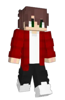Front of Shmiacks's skin