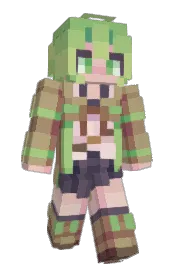 Skin preview